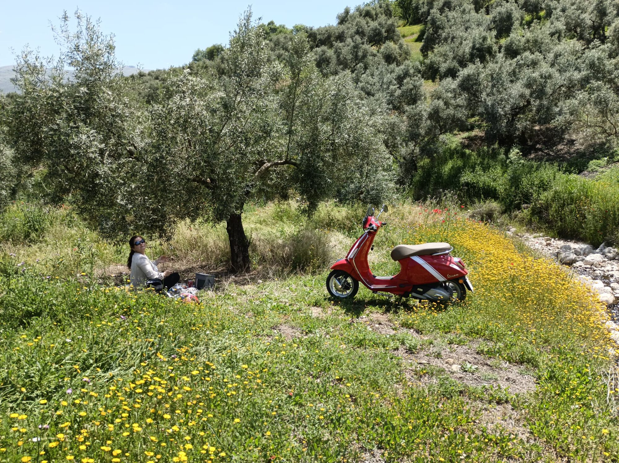 Forum member supplied image with no explanatory text