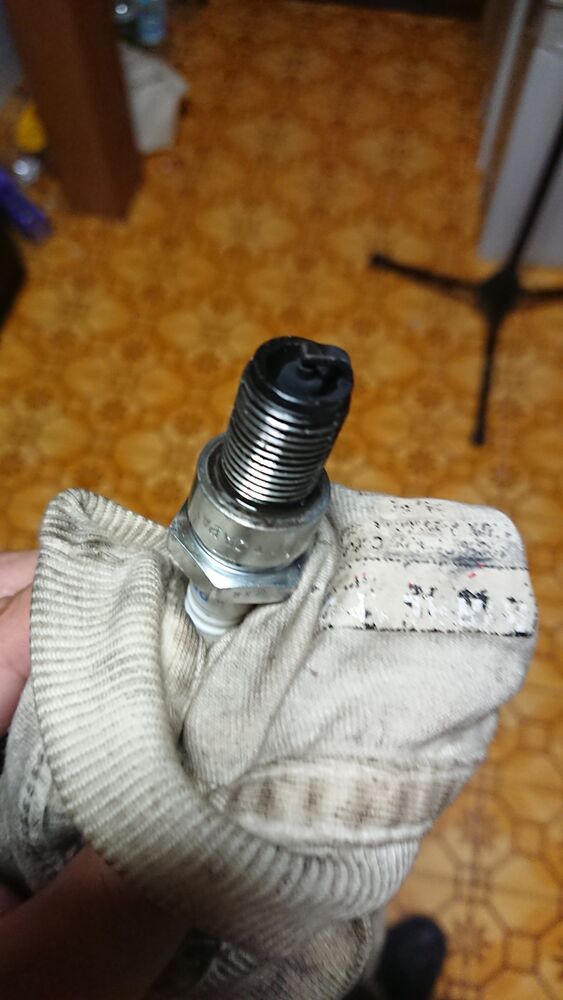 Forum member supplied image with no explanatory text