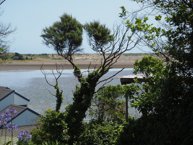 Port Waikato.