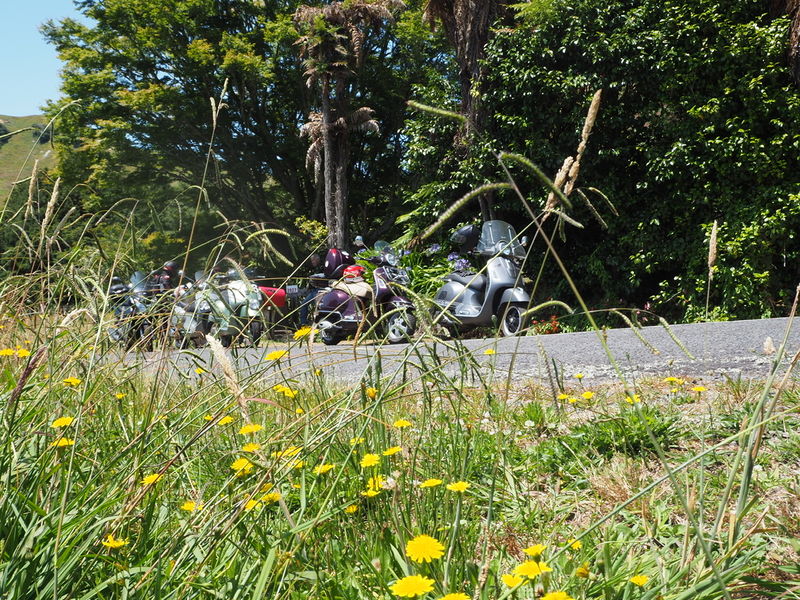 My arty shot for the day.