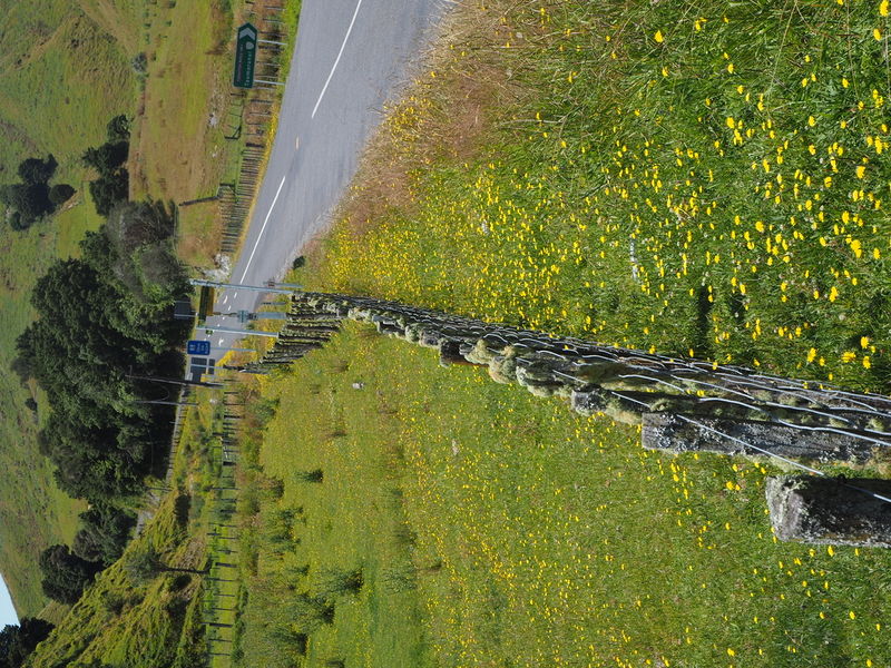 Our countryside