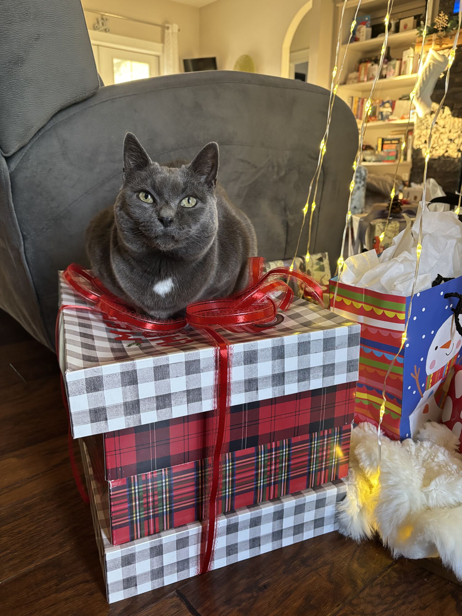 No ornaments, no problem