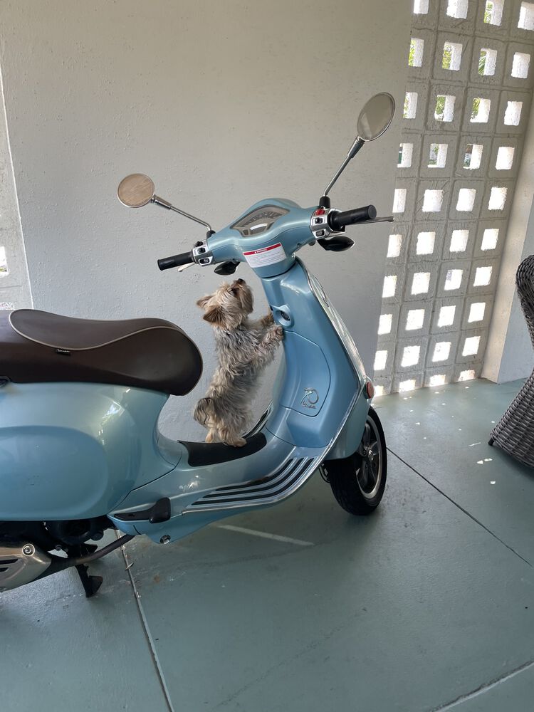 Forum member supplied image with no explanatory text