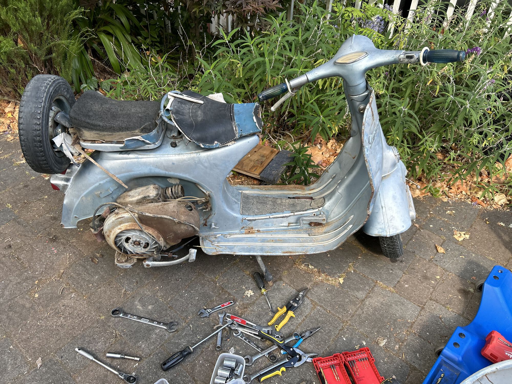 Forum member supplied image with no explanatory text