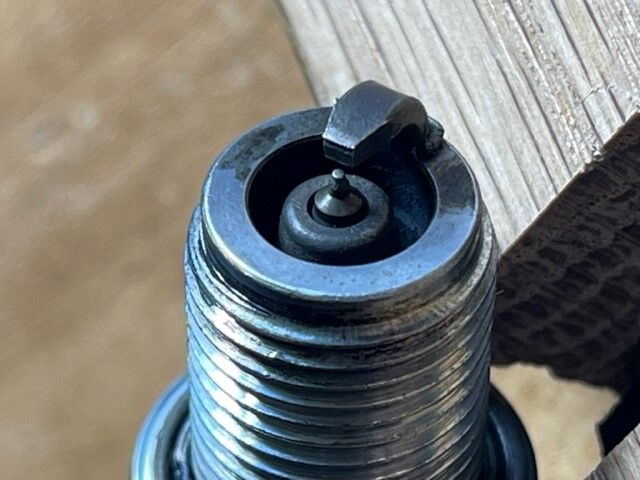 Forum member supplied image with no explanatory text