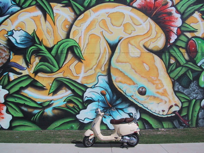 Forum member supplied image with no explanatory text