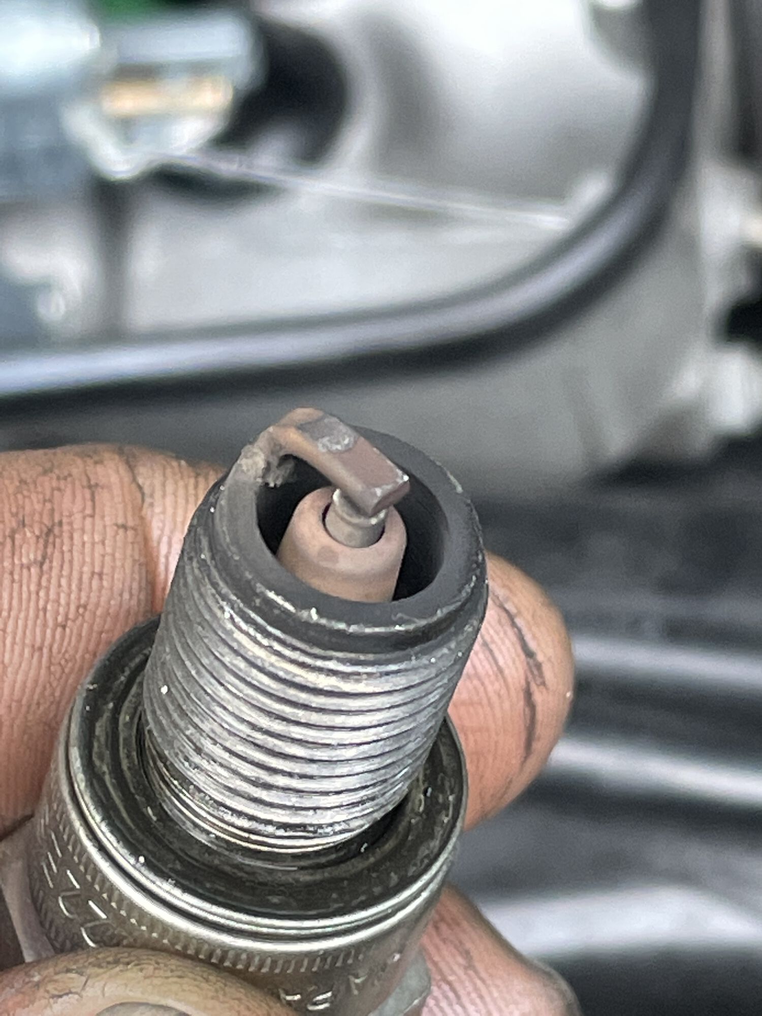 Forum member supplied image with no explanatory text