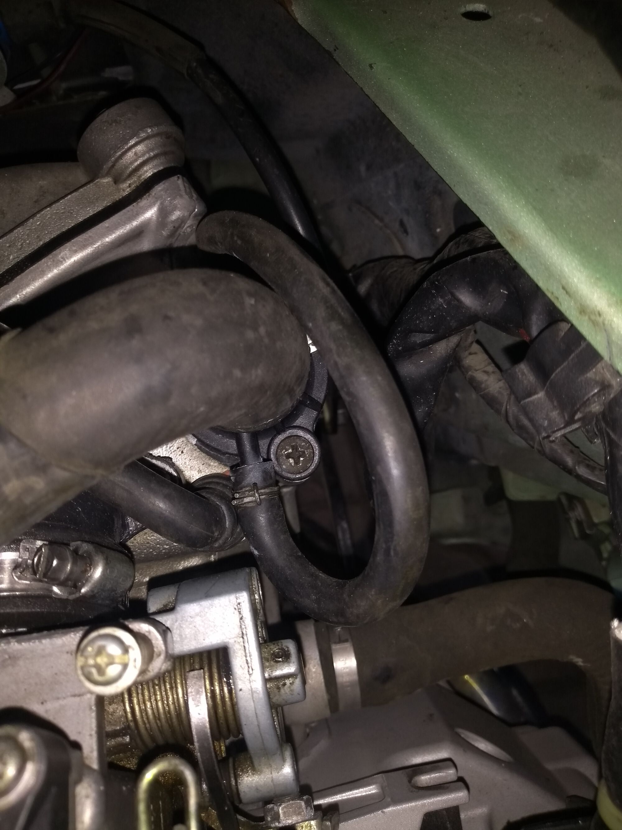 Forum member supplied image with no explanatory text