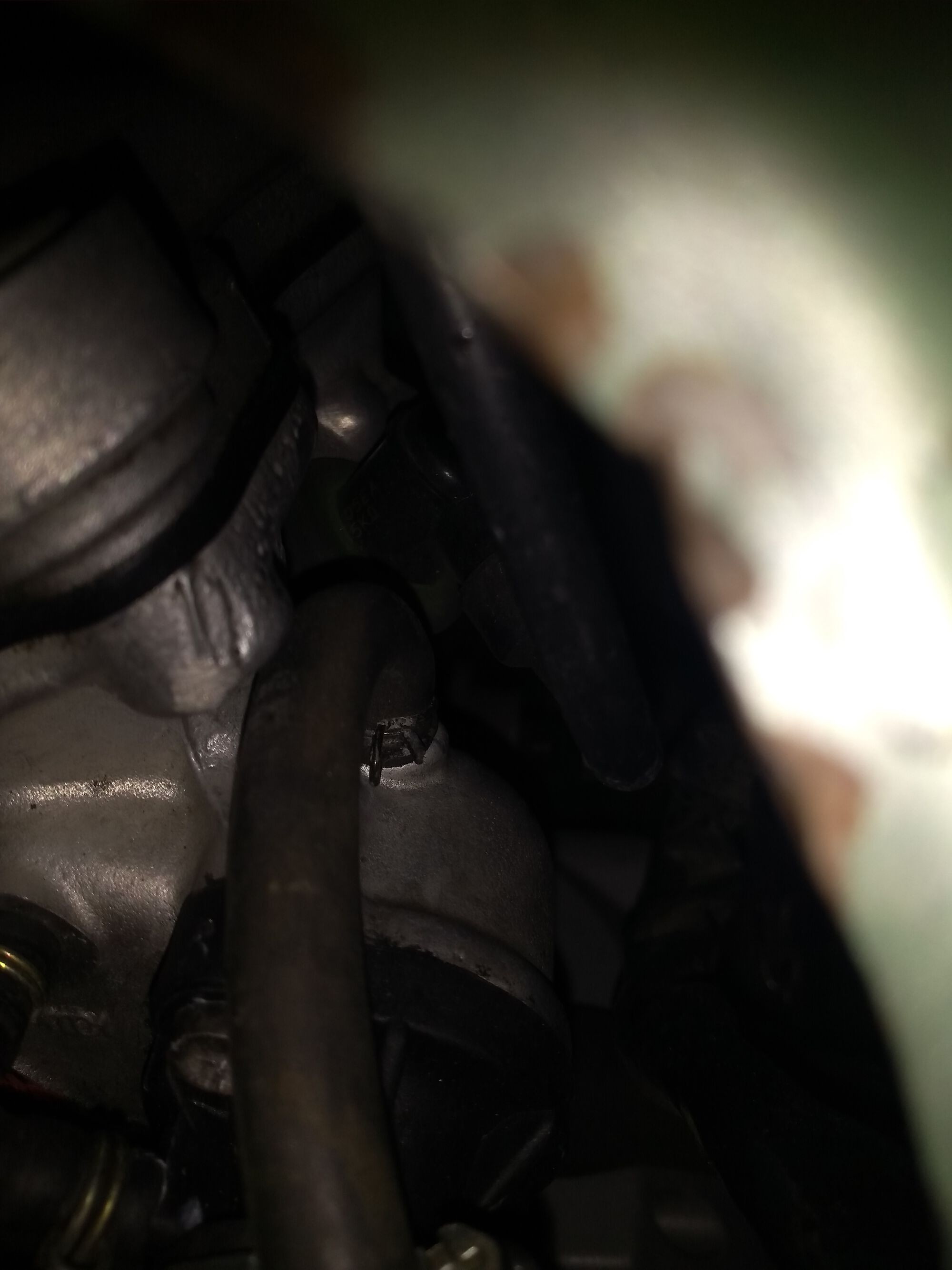 Forum member supplied image with no explanatory text