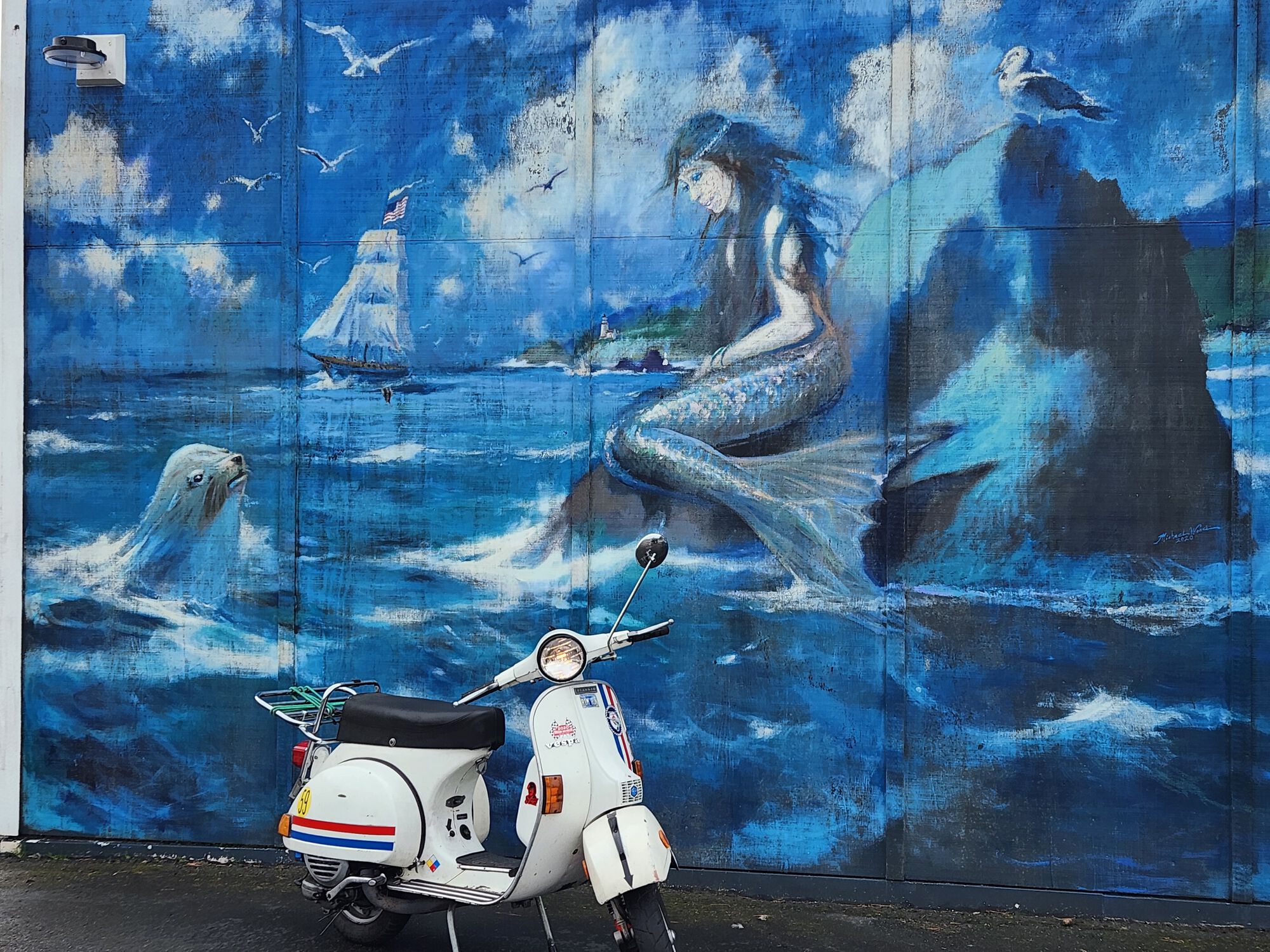 I like the harbor seal poking out of the water ..