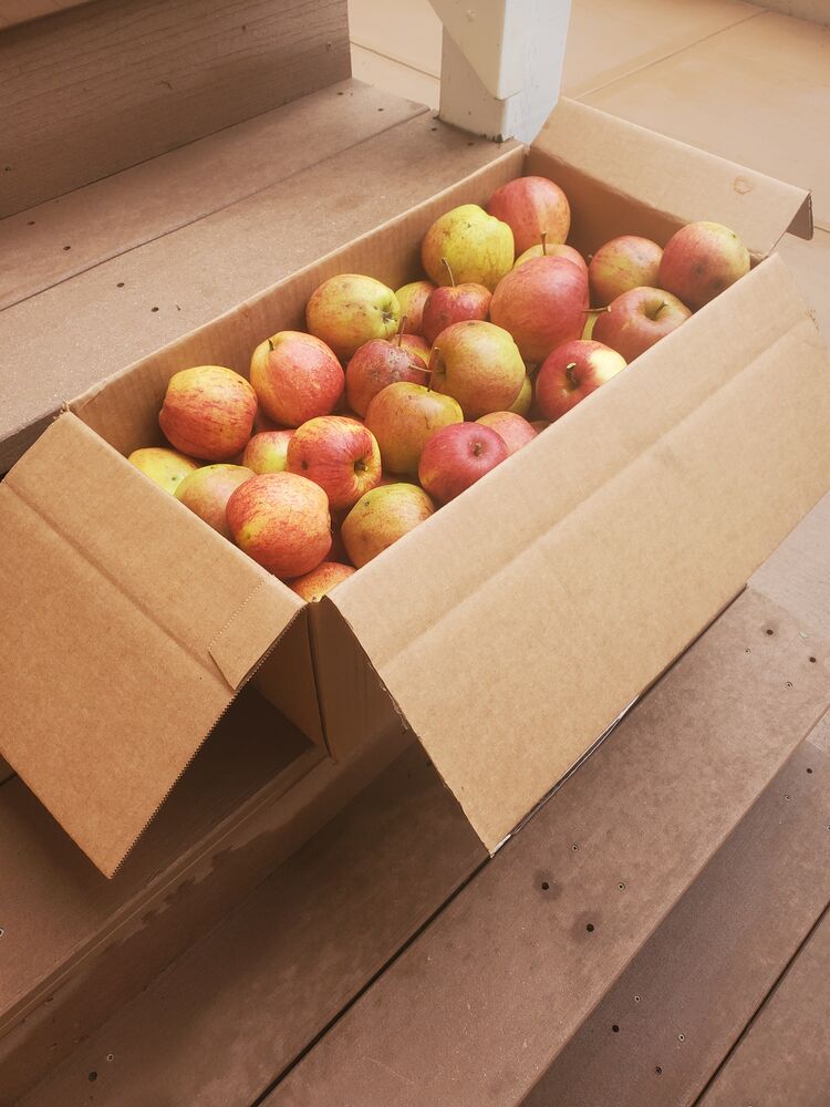 I picked apples today. Apple Crisp here we come. It's great with coffee... Oh, and the tree is still loaded!