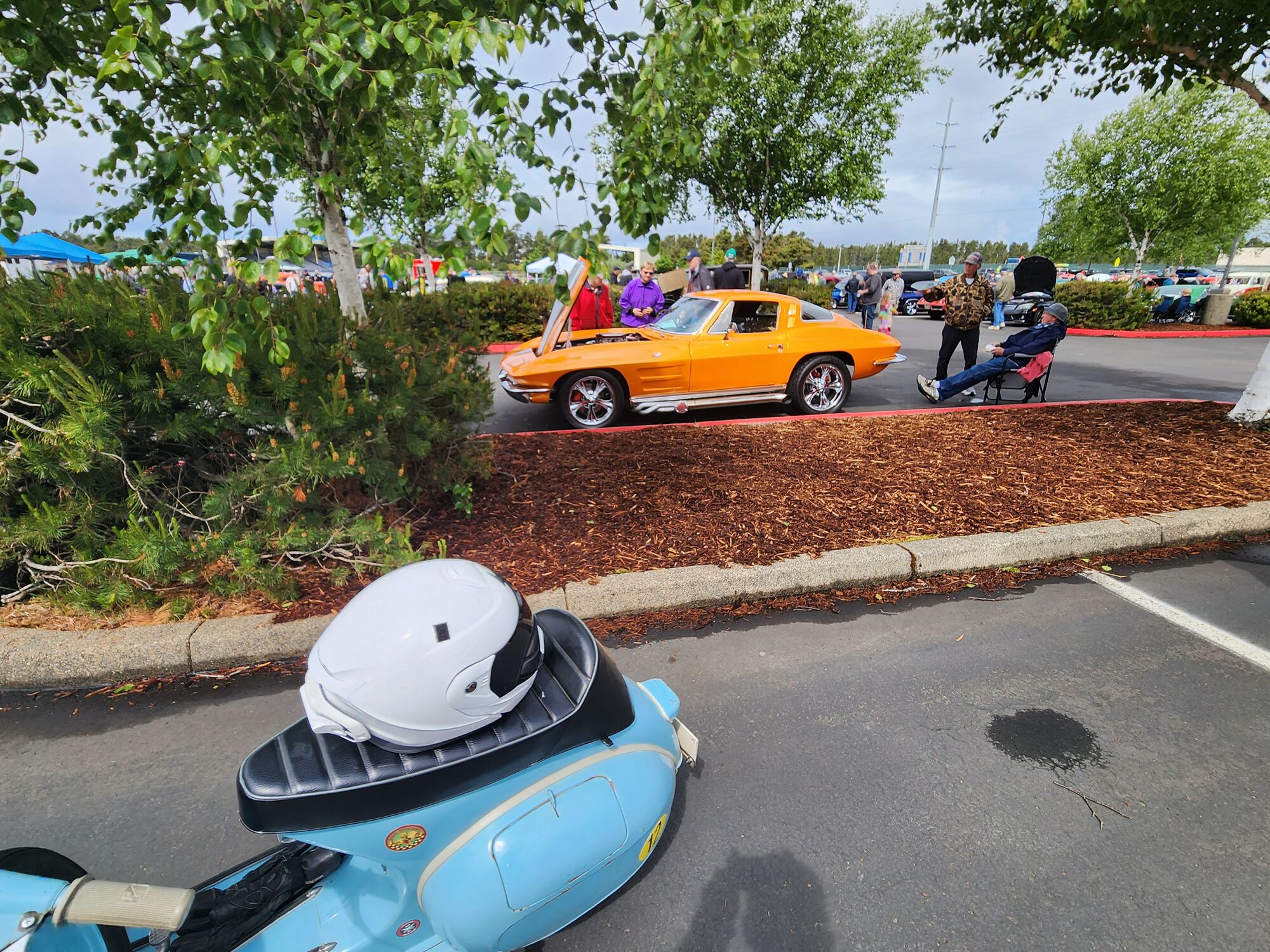 Forum member supplied image with no explanatory text