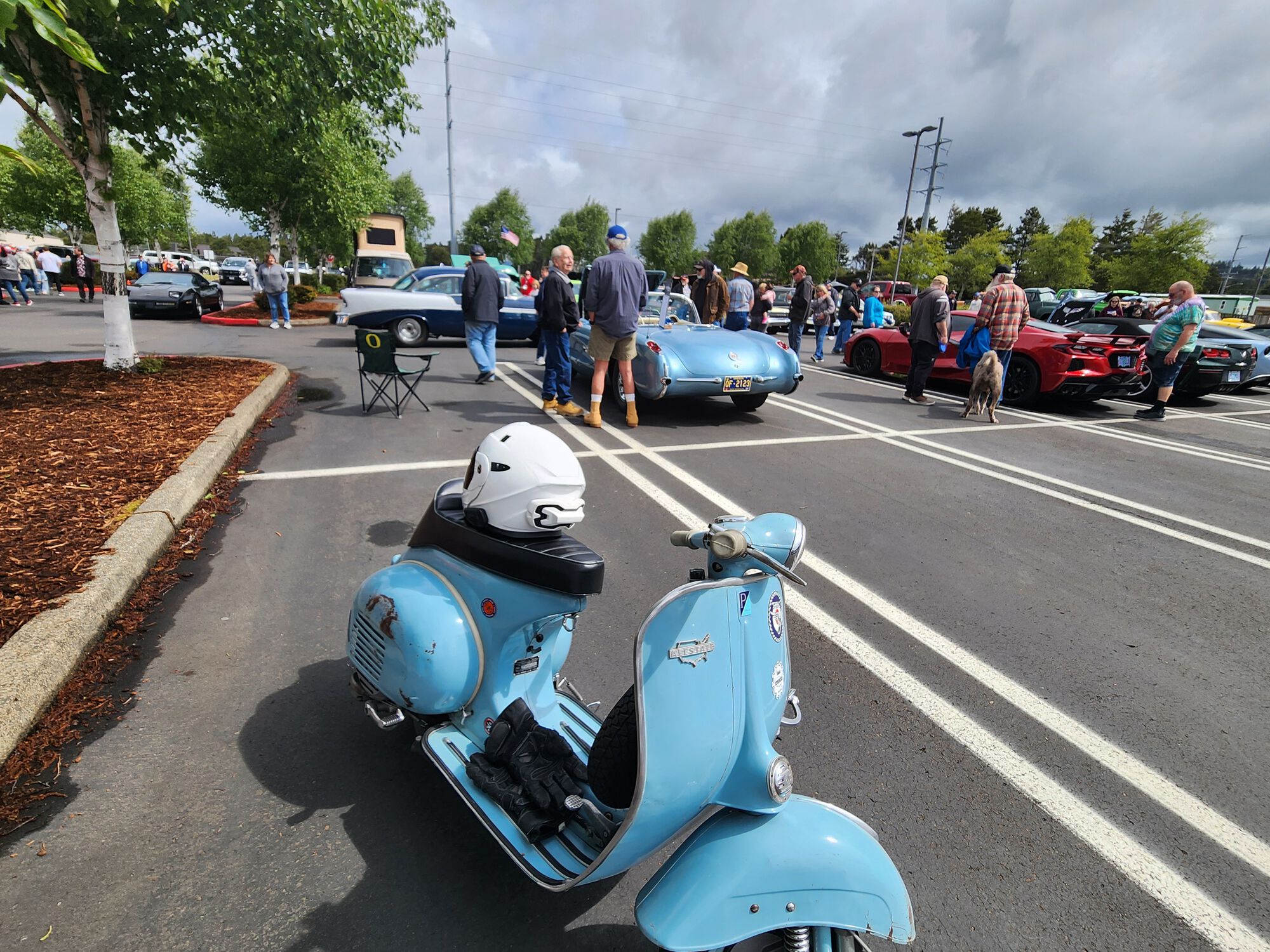 Forum member supplied image with no explanatory text