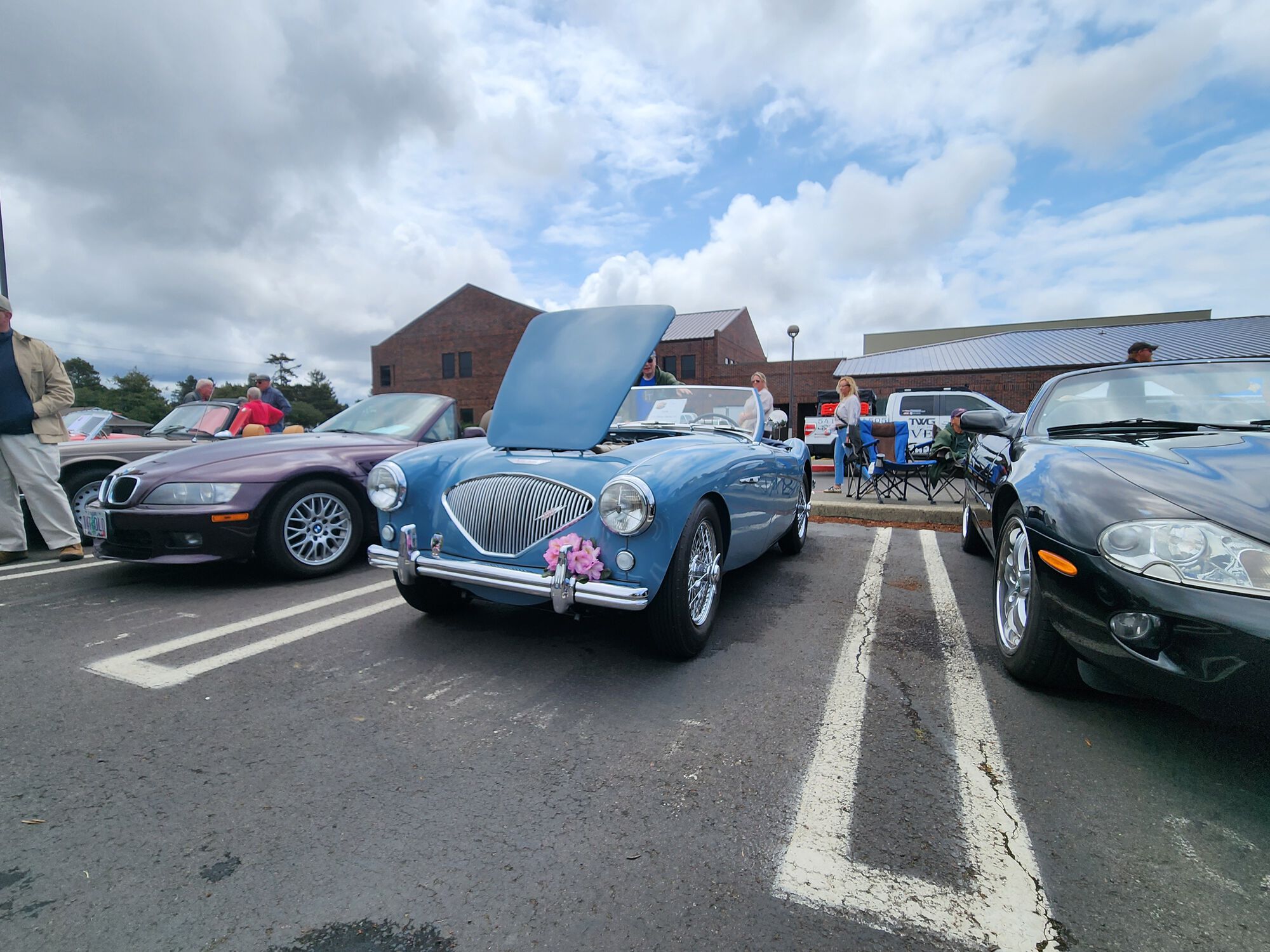 My favorite car - an Austin Healey, 1953