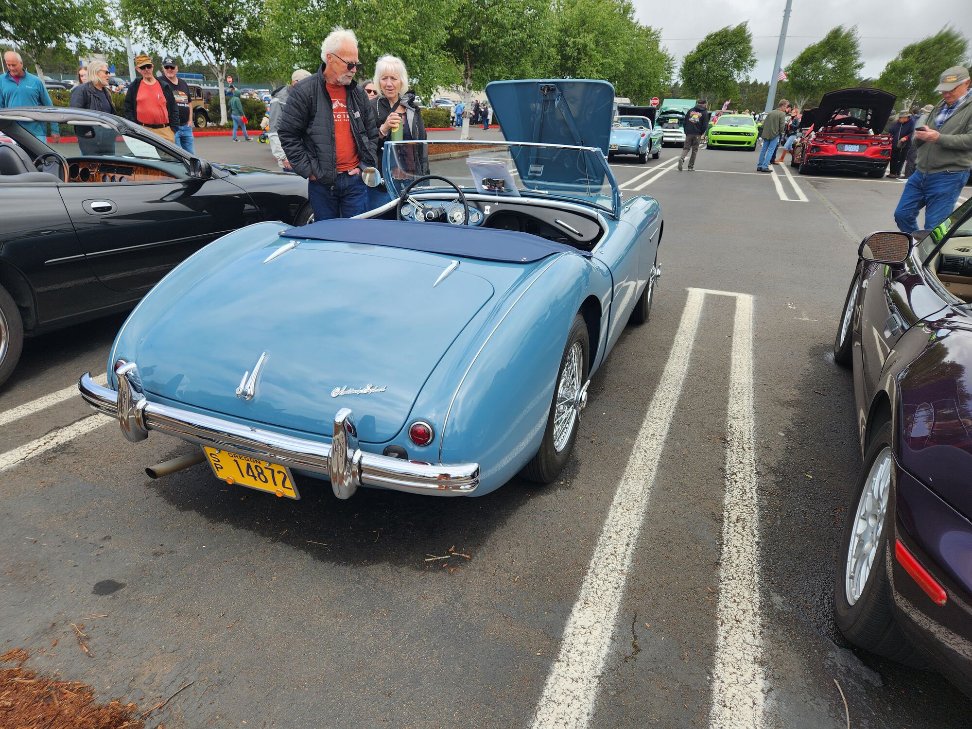 Gotta love the lines...