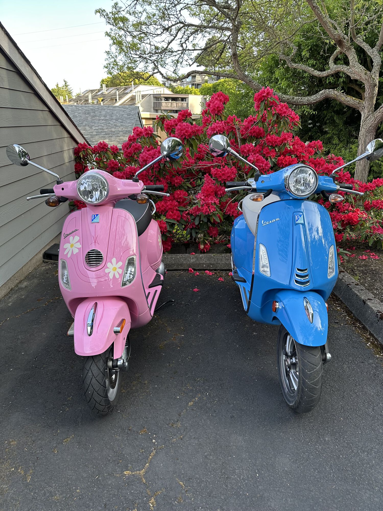 Forum member supplied image with no explanatory text