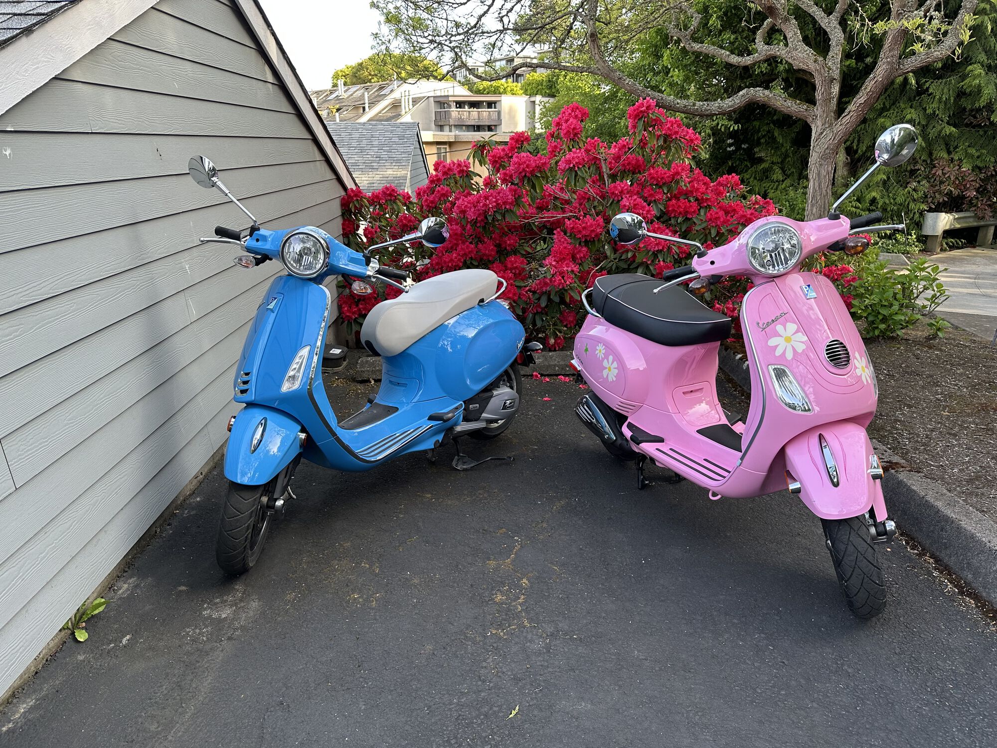 Forum member supplied image with no explanatory text
