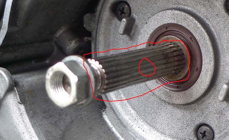Forum member supplied image with no explanatory text