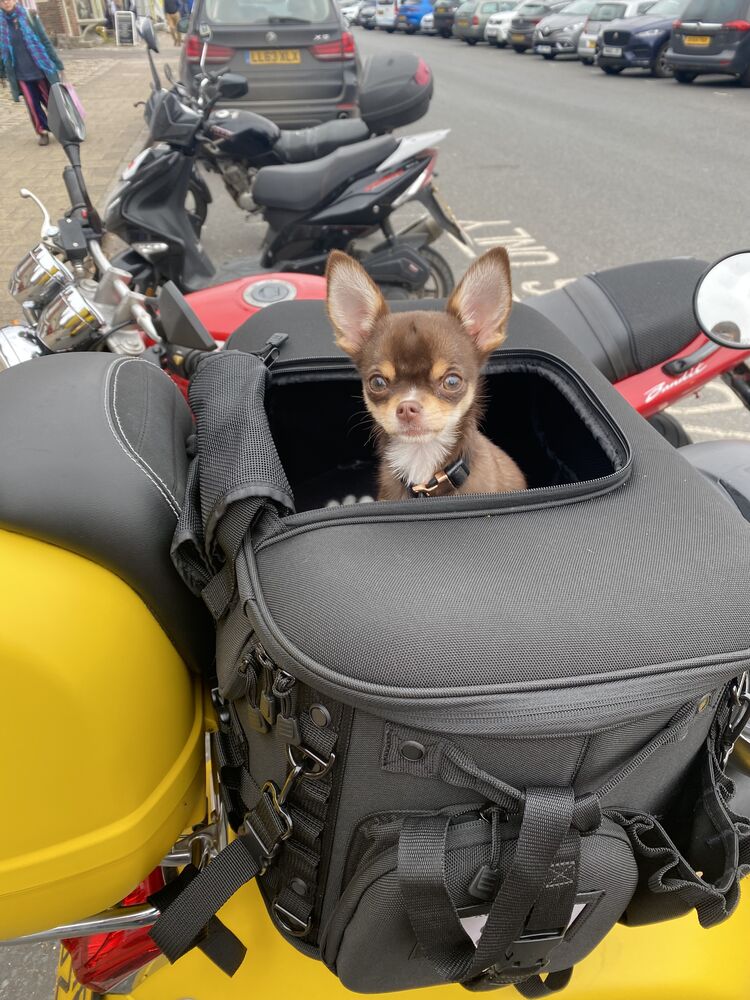 Forum member supplied image with no explanatory text