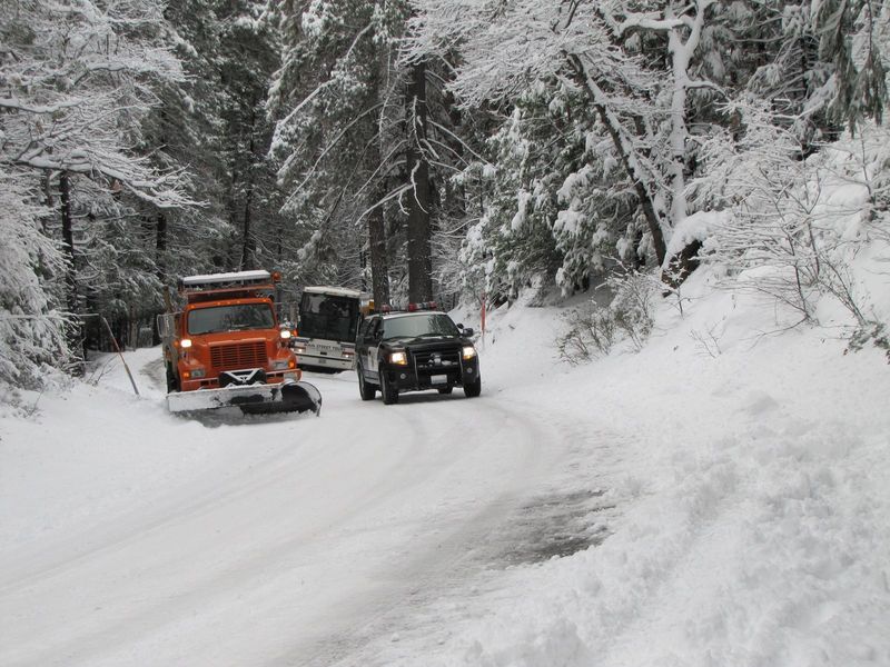 Forum member supplied image with no explanatory text