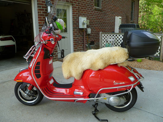 Forum member supplied image with no explanatory text