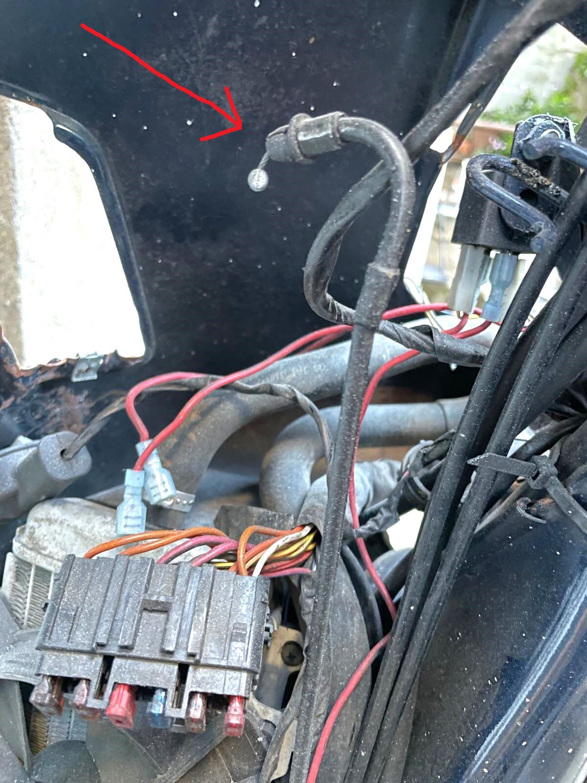 Forum member supplied image with no explanatory text