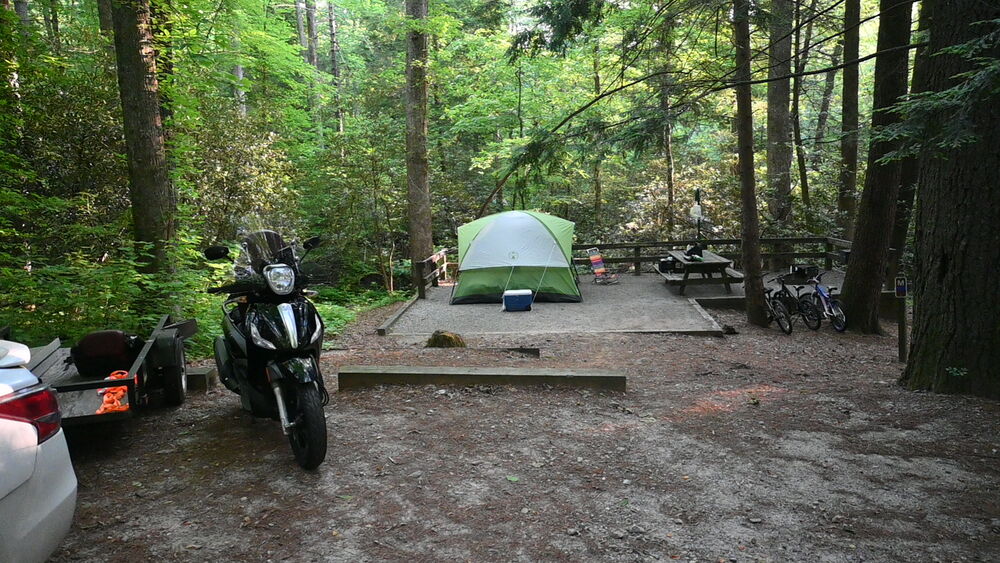 Forum member supplied image with no explanatory text