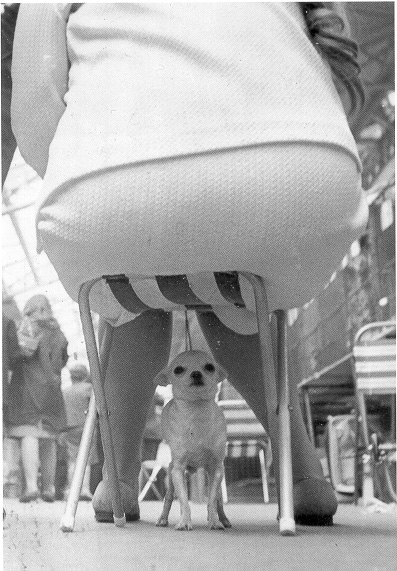 Forum member supplied image with no explanatory text