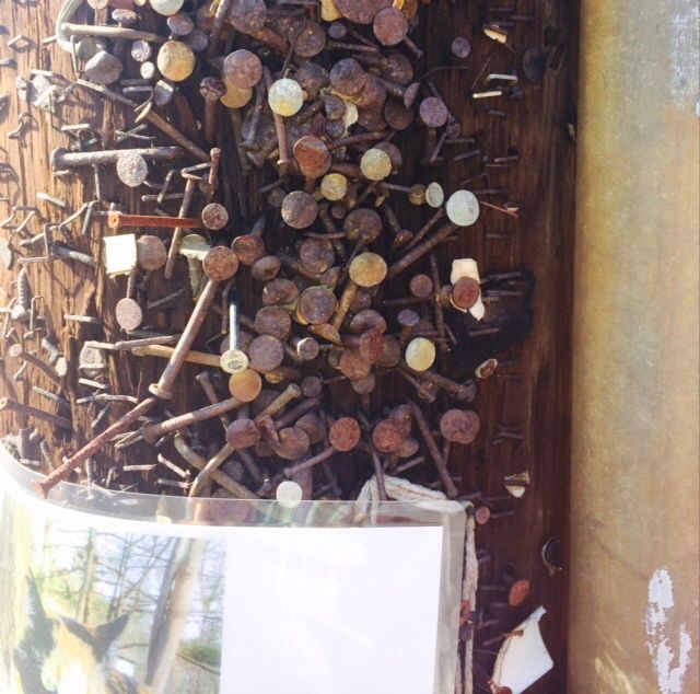 Forum member supplied image with no explanatory text