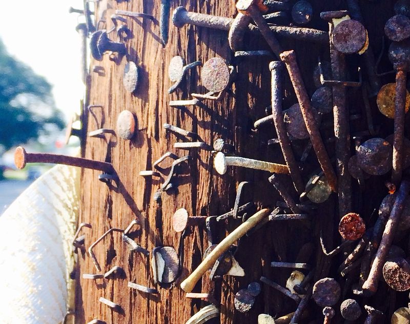 Forum member supplied image with no explanatory text