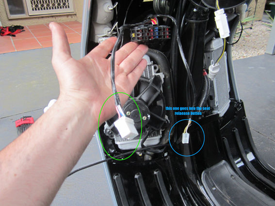 Forum member supplied image with no explanatory text