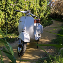 @ricco-mapourino avatar