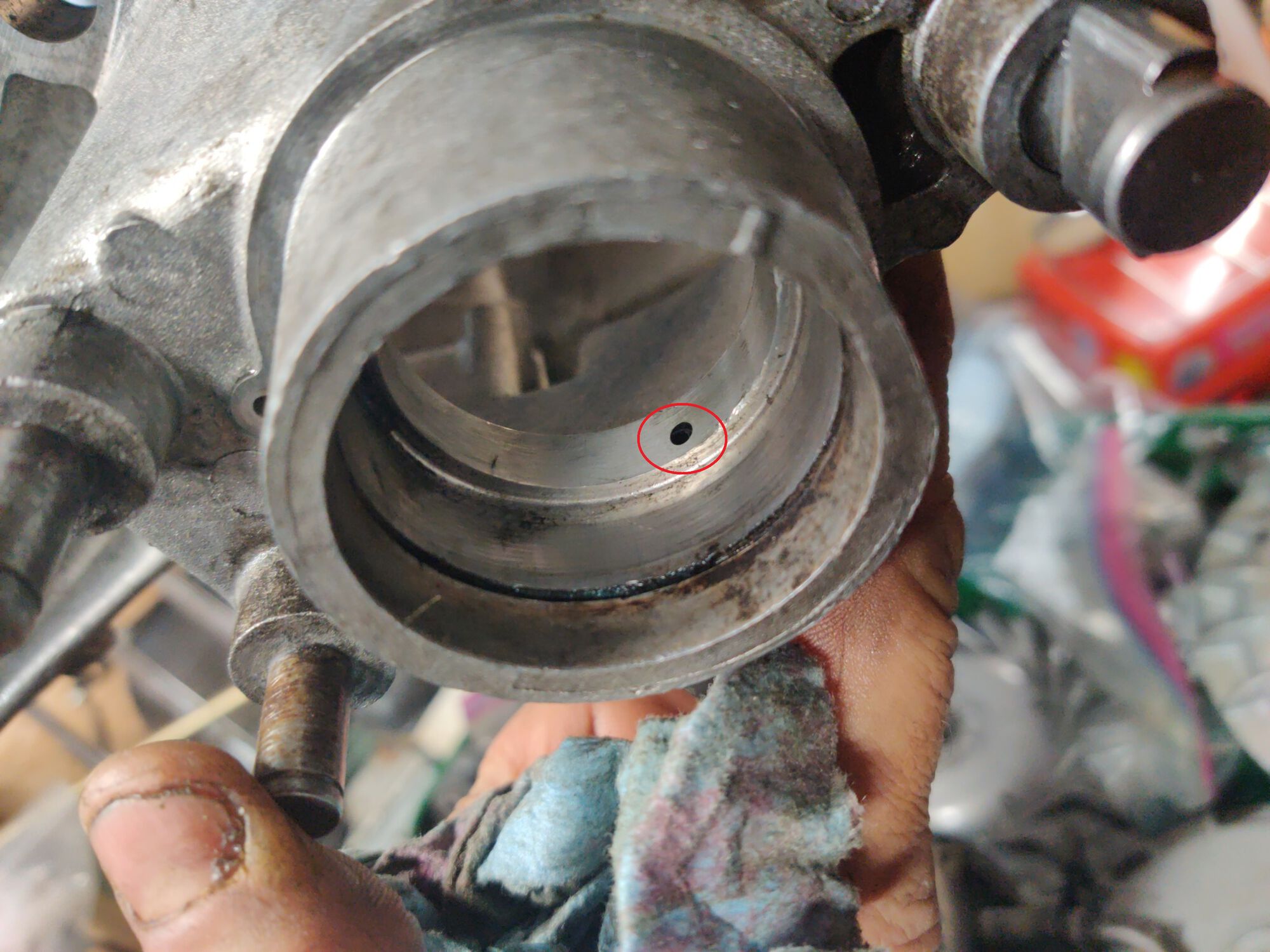 Forum member supplied image with no explanatory text