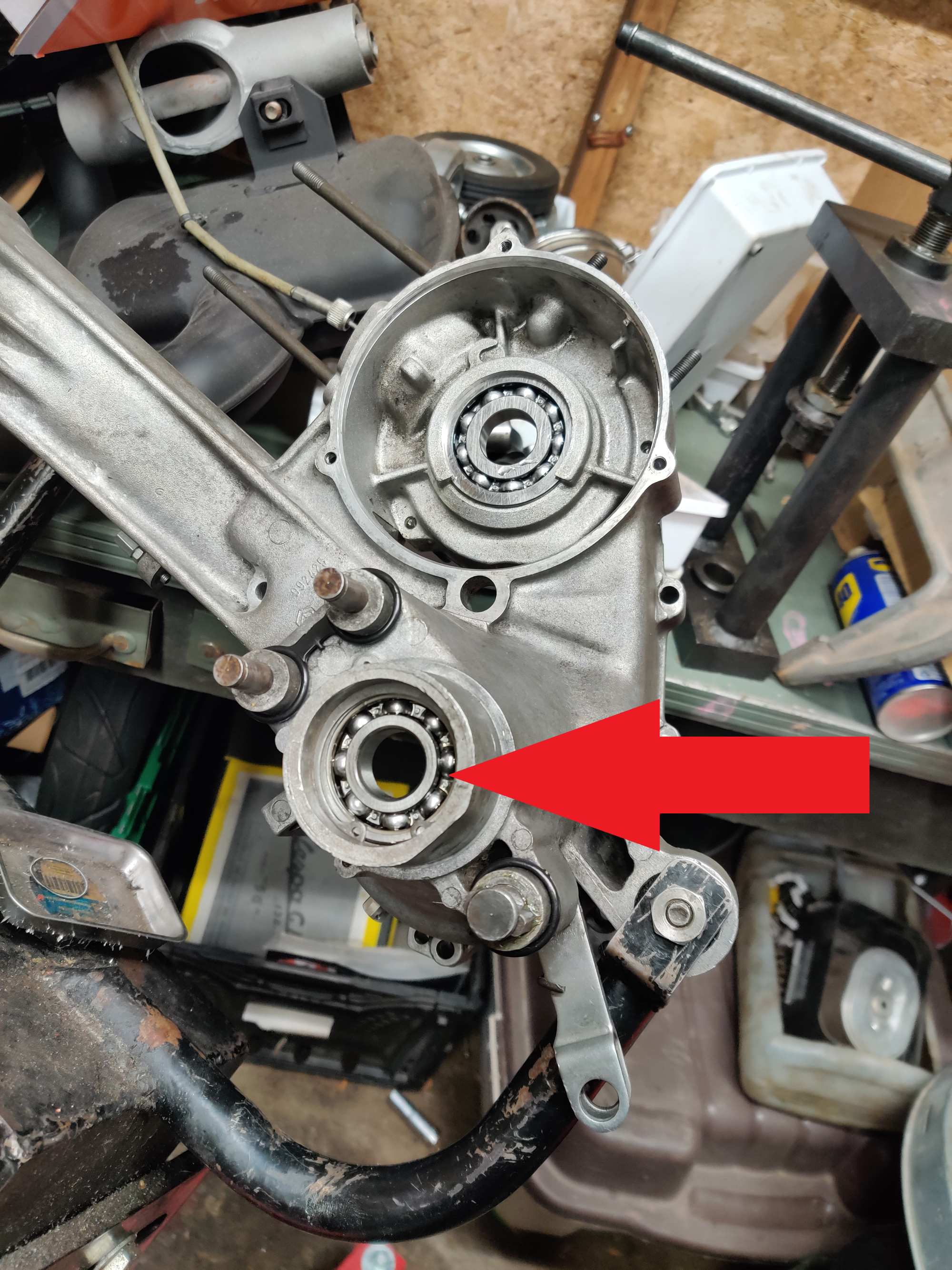 Forum member supplied image with no explanatory text