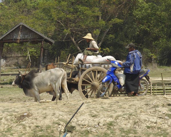 Laos: Market day
