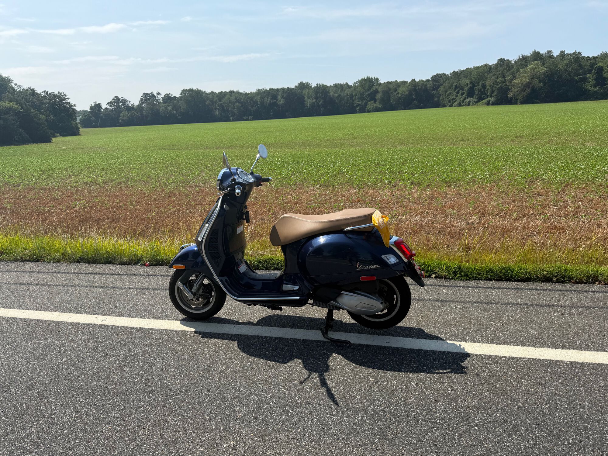 Forum member supplied image with no explanatory text