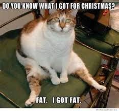 Forum member supplied image with no explanatory text