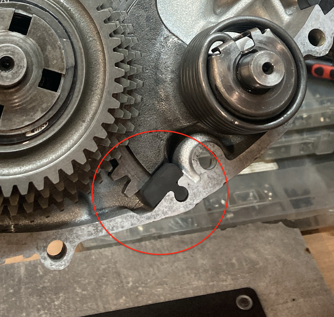 Forum member supplied image with no explanatory text