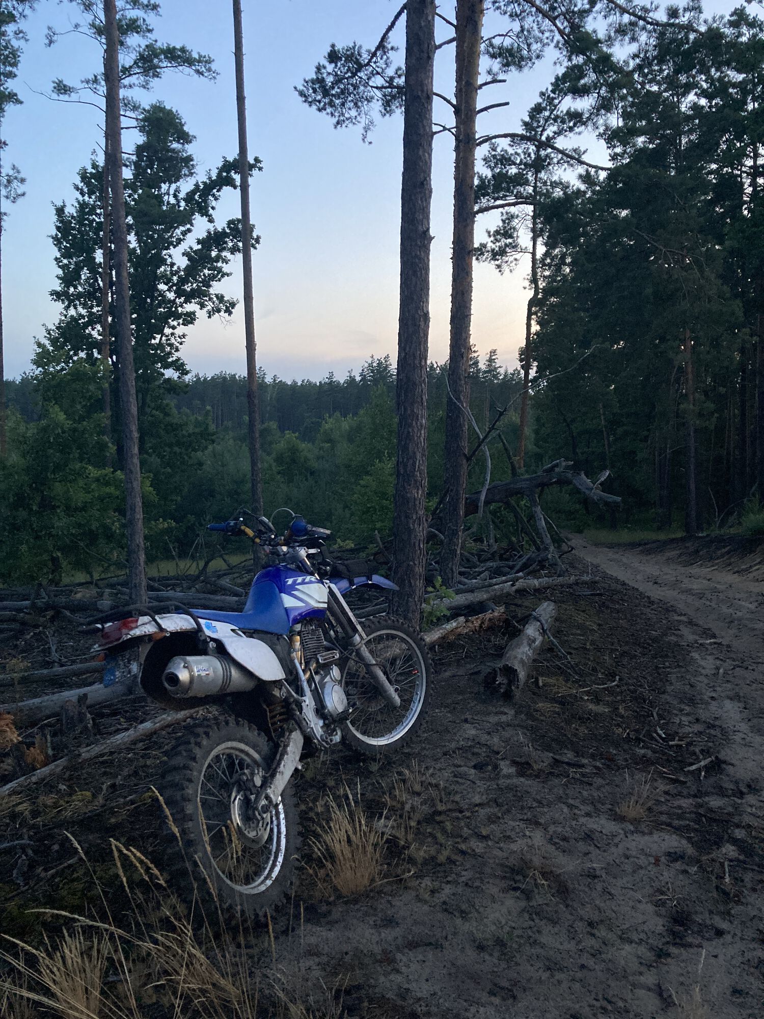 Forum member supplied image with no explanatory text