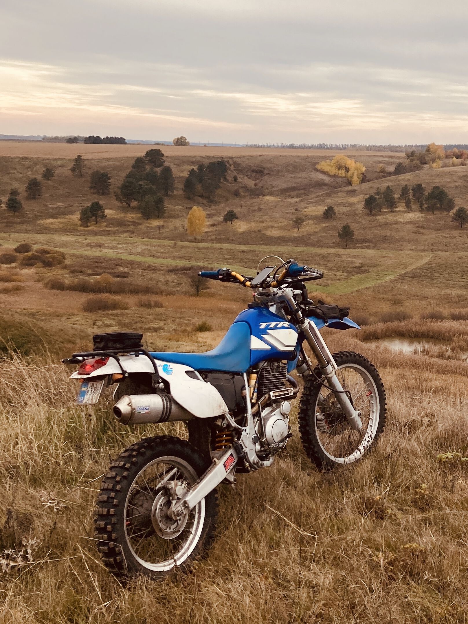 Forum member supplied image with no explanatory text