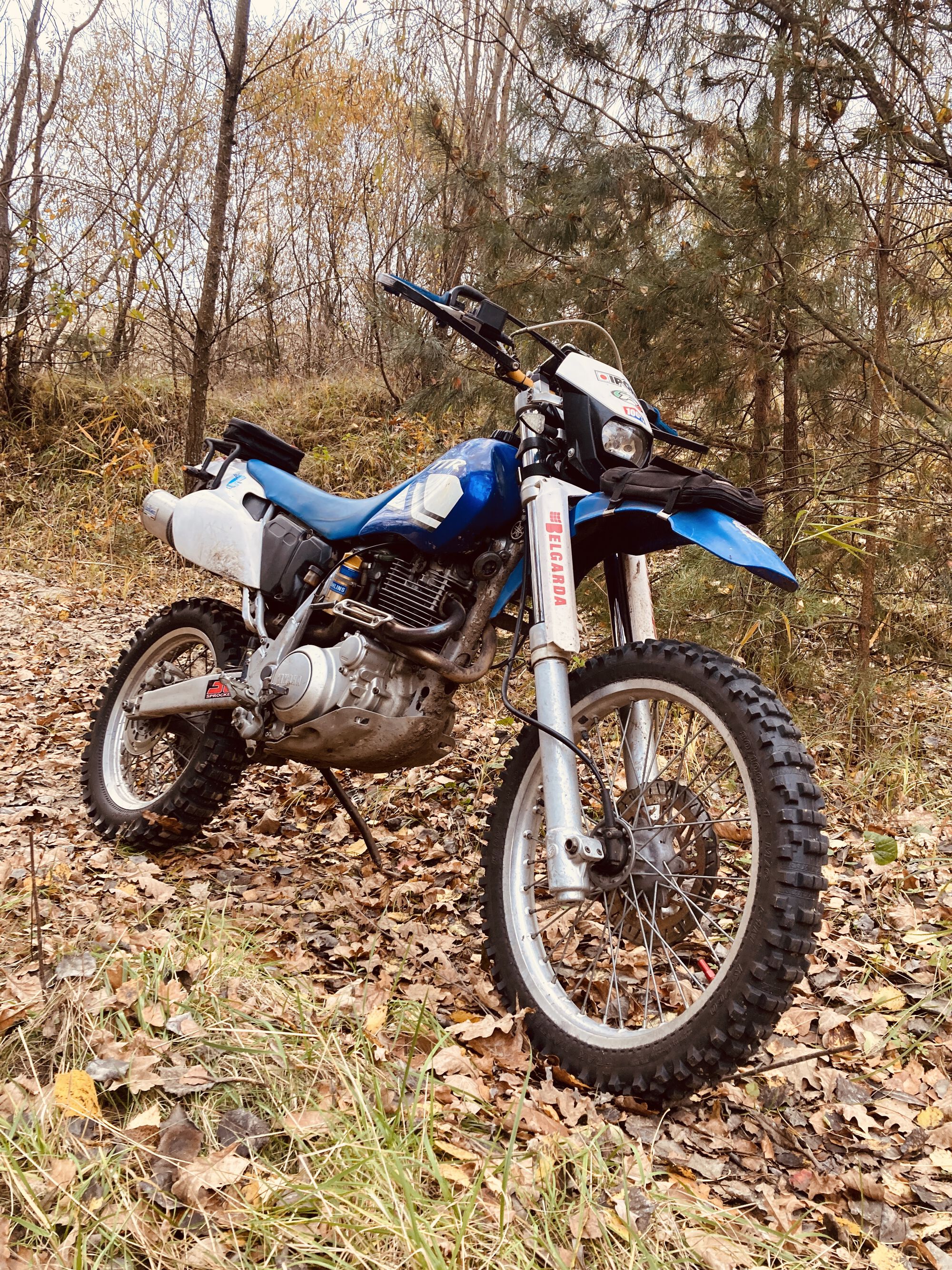 Forum member supplied image with no explanatory text