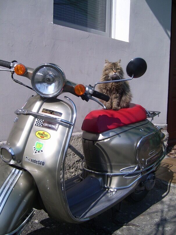 Forum member supplied image with no explanatory text