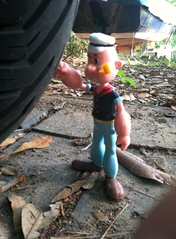 Forum member supplied image with no explanatory text