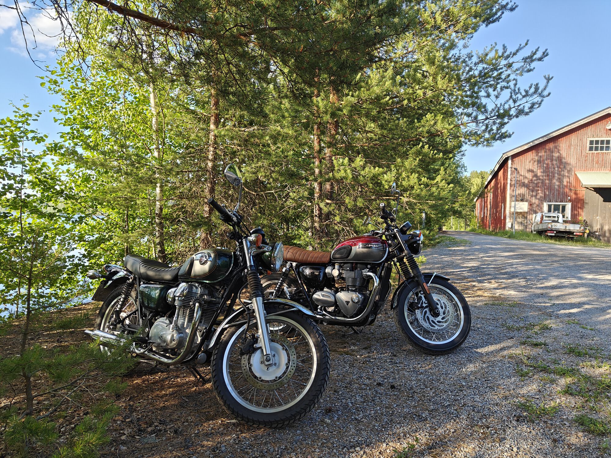More trees and leaves than bikes in the pic....but there they are.