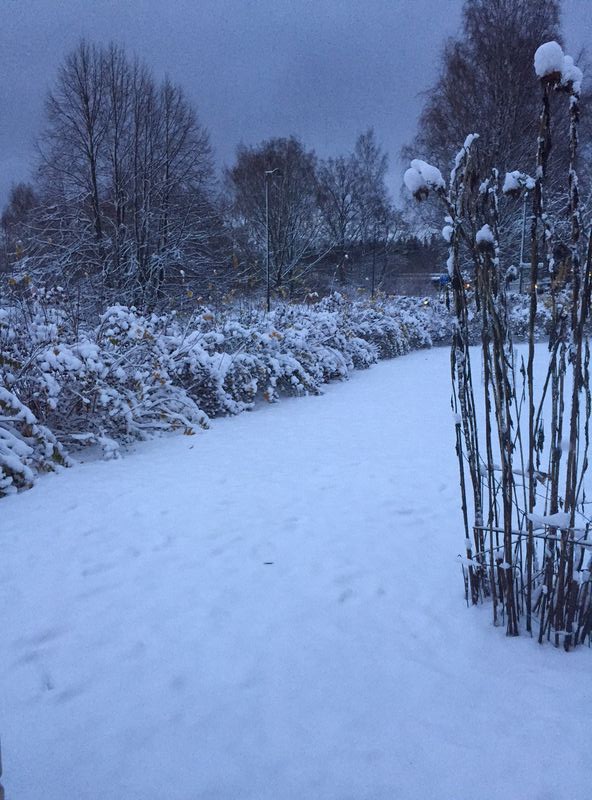 Forum member supplied image with no explanatory text