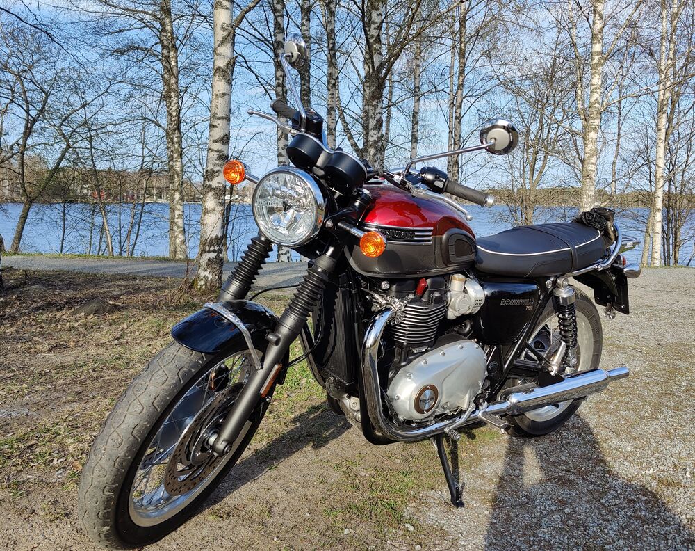 'Spring' being a relative term around here: the only flash of colour in nature is still my Bonnie...