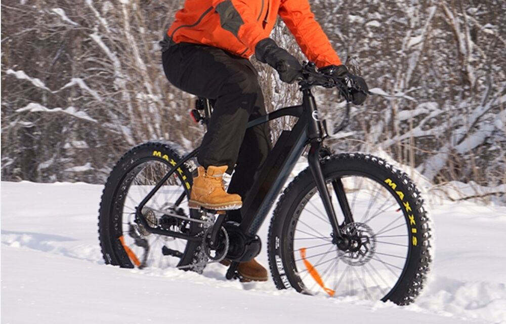 Forum member supplied image with no explanatory text