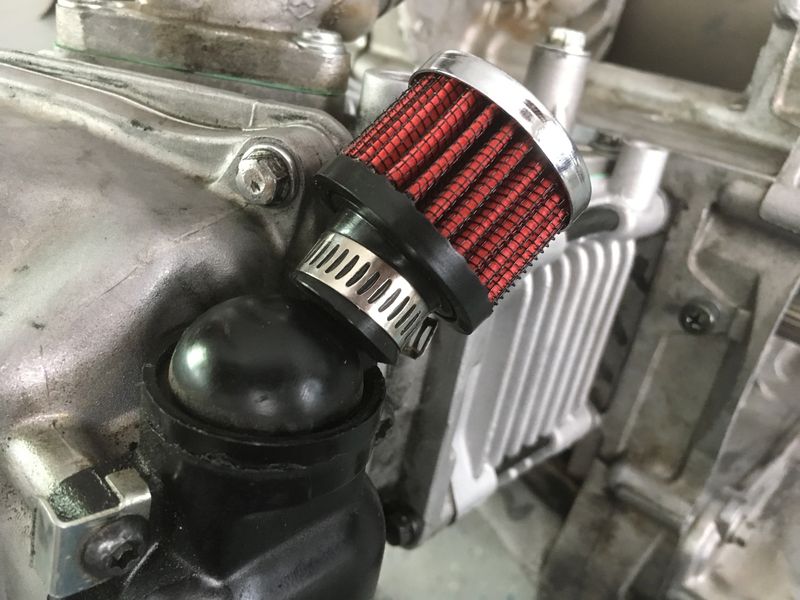 Forum member supplied image with no explanatory text