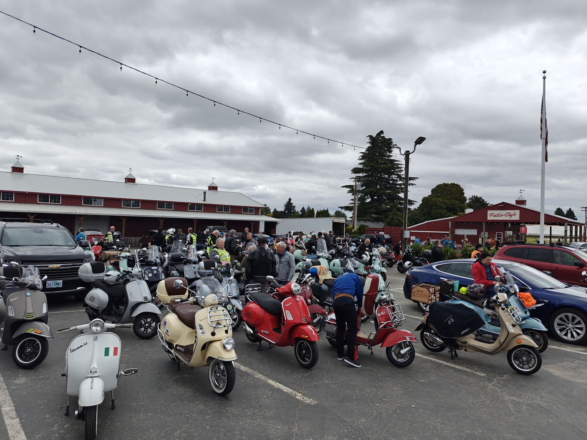 Forum member supplied image with no explanatory text