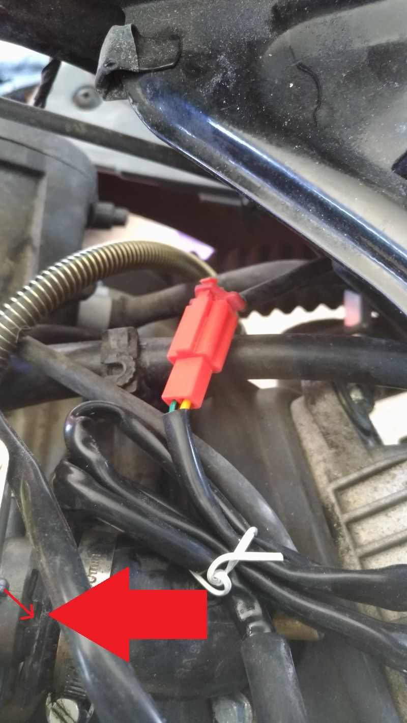 Forum member supplied image with no explanatory text